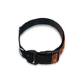 Milky Way Universe Print Dog Collar
