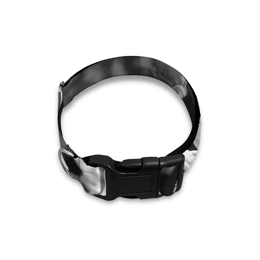 Monochrome Daisy Flower Print Dog Collar
