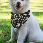 Monochrome Dinosaur Fossil Pattern Print Over The Collar Dog Bandana