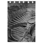Monochrome Dinosaur Fossil Print Curtain