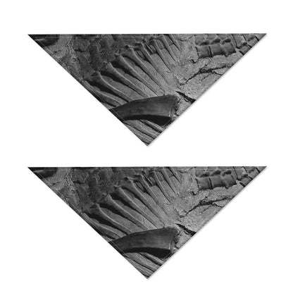 Monochrome Dinosaur Fossil Print Dog Bandana