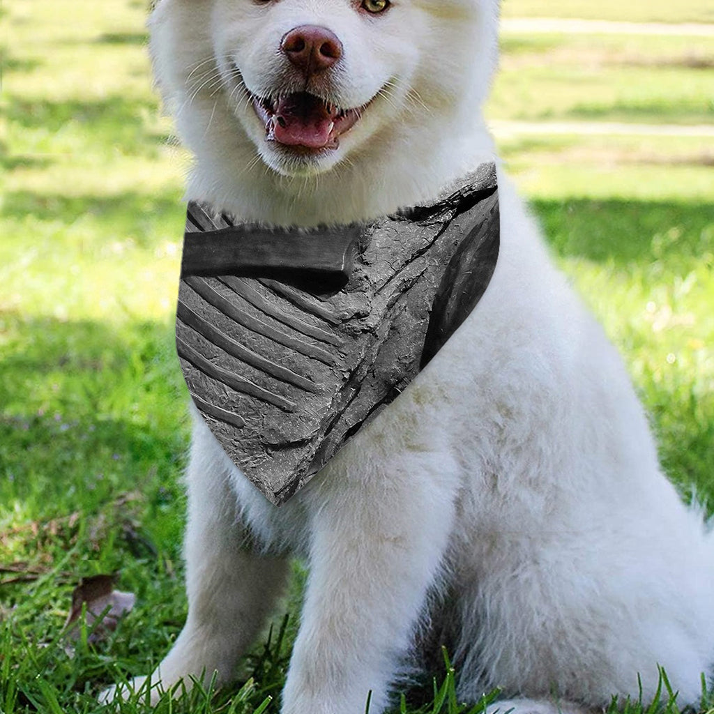 Monochrome Dinosaur Fossil Print Over The Collar Dog Bandana
