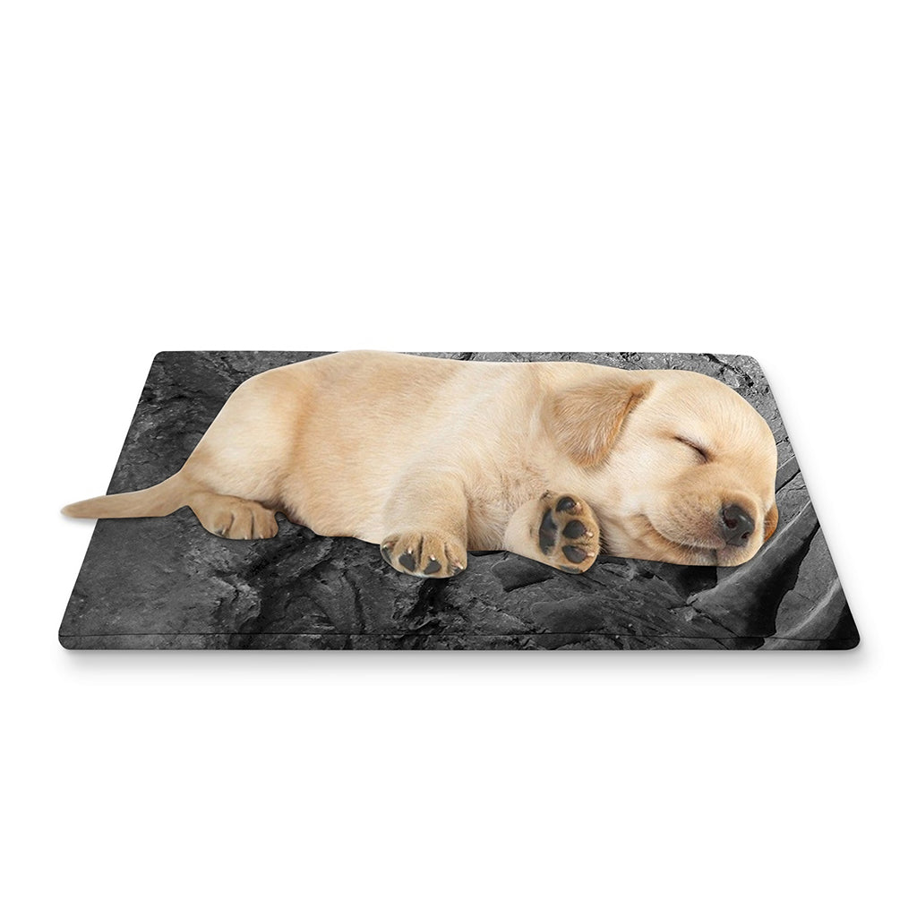 Monochrome Dinosaur Fossil Print Pet Cooling Mat Cover
