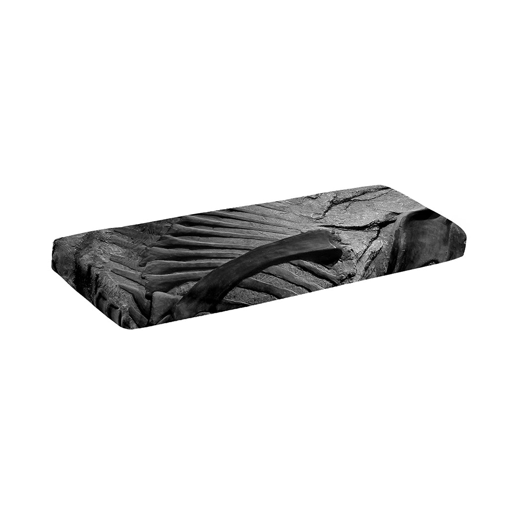 Monochrome Dinosaur Fossil Print Piano Keyboard Cover