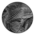 Monochrome Dinosaur Fossil Print Round Floor Mat