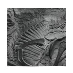 Monochrome Dinosaur Fossil Print Silk Bandana
