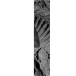Monochrome Dinosaur Fossil Print Table Runner