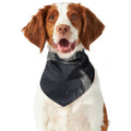 Monochrome Eagle Print Dog Bandana