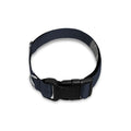 Monochrome Eagle Print Dog Collar