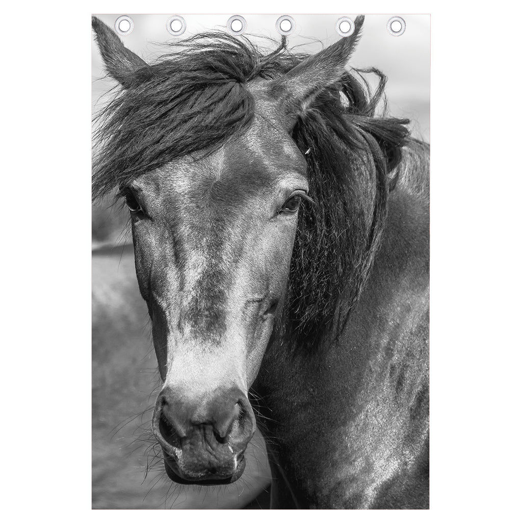 Monochrome Horse Print Curtain