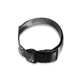Monochrome Horse Print Dog Collar