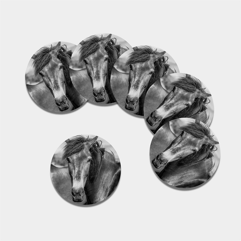 Monochrome Horse Print Leather Coaster Set