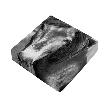 Monochrome Horse Print Outdoor Seat Cushion Cover