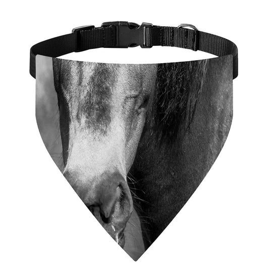 Monochrome Horse Print Over The Collar Dog Bandana