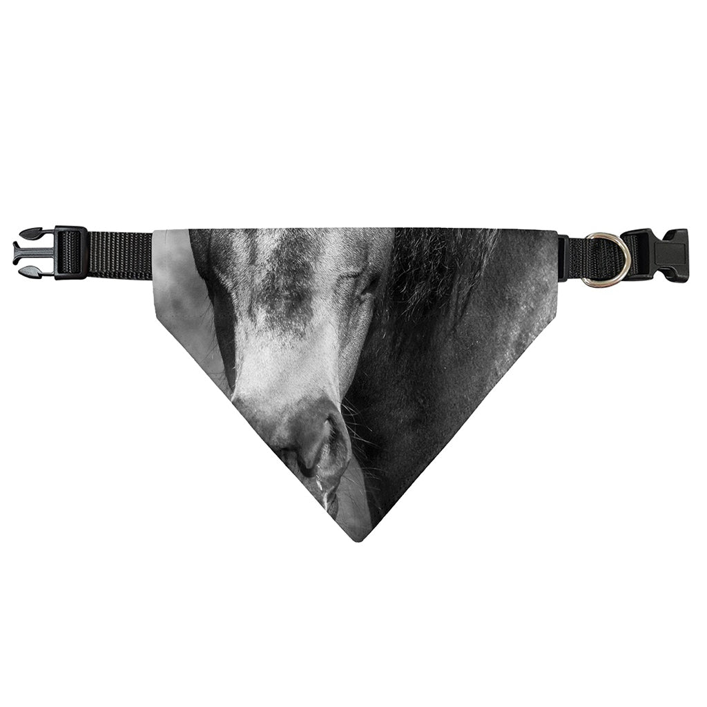 Monochrome Horse Print Over The Collar Dog Bandana