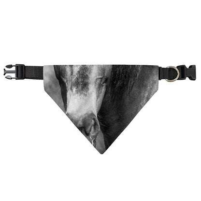 Monochrome Horse Print Over The Collar Dog Bandana
