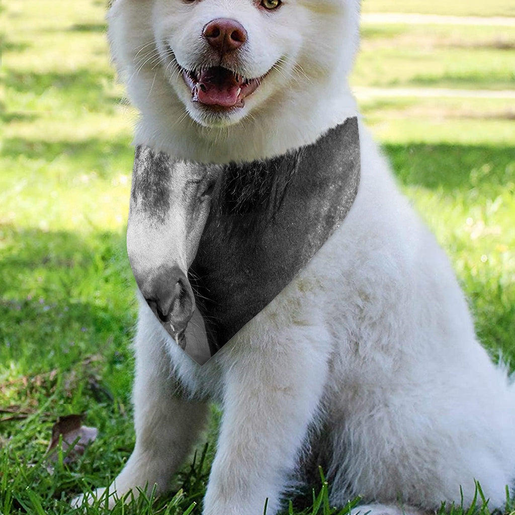 Monochrome Horse Print Over The Collar Dog Bandana