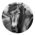 Monochrome Horse Print Round Blanket
