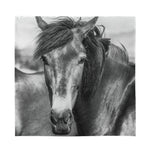 Monochrome Horse Print Silk Bandana