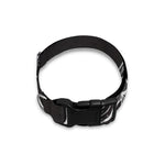 Monochrome Lotus Print Dog Collar