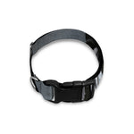 Monochrome Native Indian Portrait Print Dog Collar