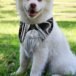 Monochrome Native Indian Portrait Print Over The Collar Dog Bandana