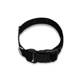 Monochrome Punk Skull Print Dog Collar