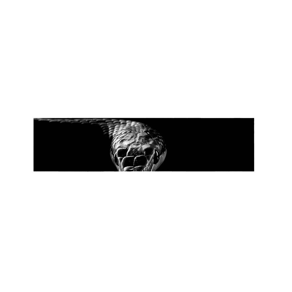Monochrome Rhinoceros Ratsnake Print Bed Runner