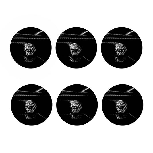 Monochrome Rhinoceros Ratsnake Print Coaster Set