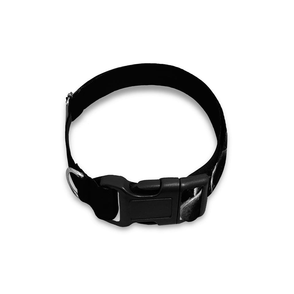 Monochrome Rhinoceros Ratsnake Print Dog Collar