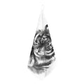Monochrome Watercolor White Tiger Print Hand Towel