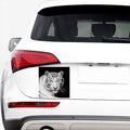 Monochrome White Bengal Tiger Print Car Sticker