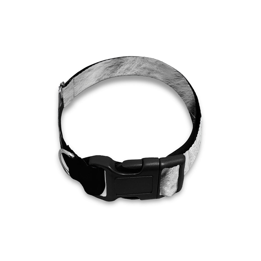 Monochrome White Bengal Tiger Print Dog Collar