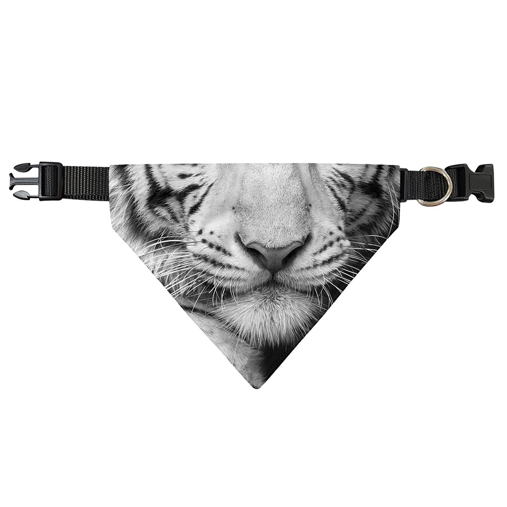 Monochrome White Bengal Tiger Print Over The Collar Dog Bandana