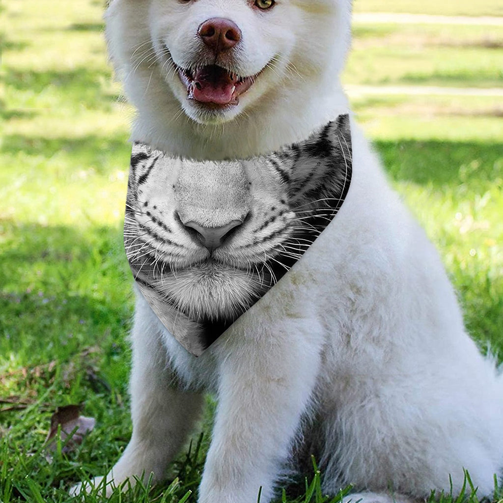 Monochrome White Bengal Tiger Print Over The Collar Dog Bandana