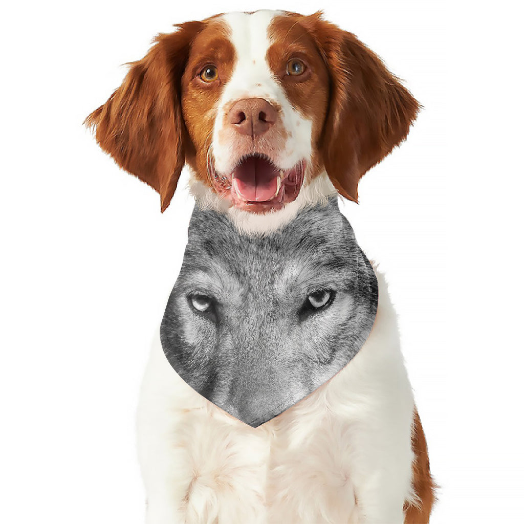 Monochrome Wolf Print Dog Bandana