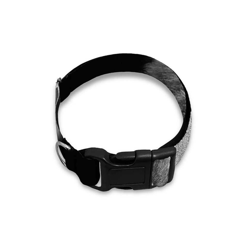 Monochrome Wolf Print Dog Collar