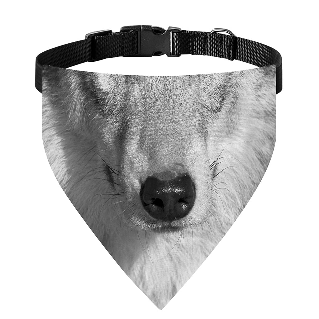 Monochrome Wolf Print Over The Collar Dog Bandana