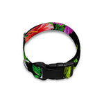 Monstera Hibiscus Hawaii Pattern Print Dog Collar