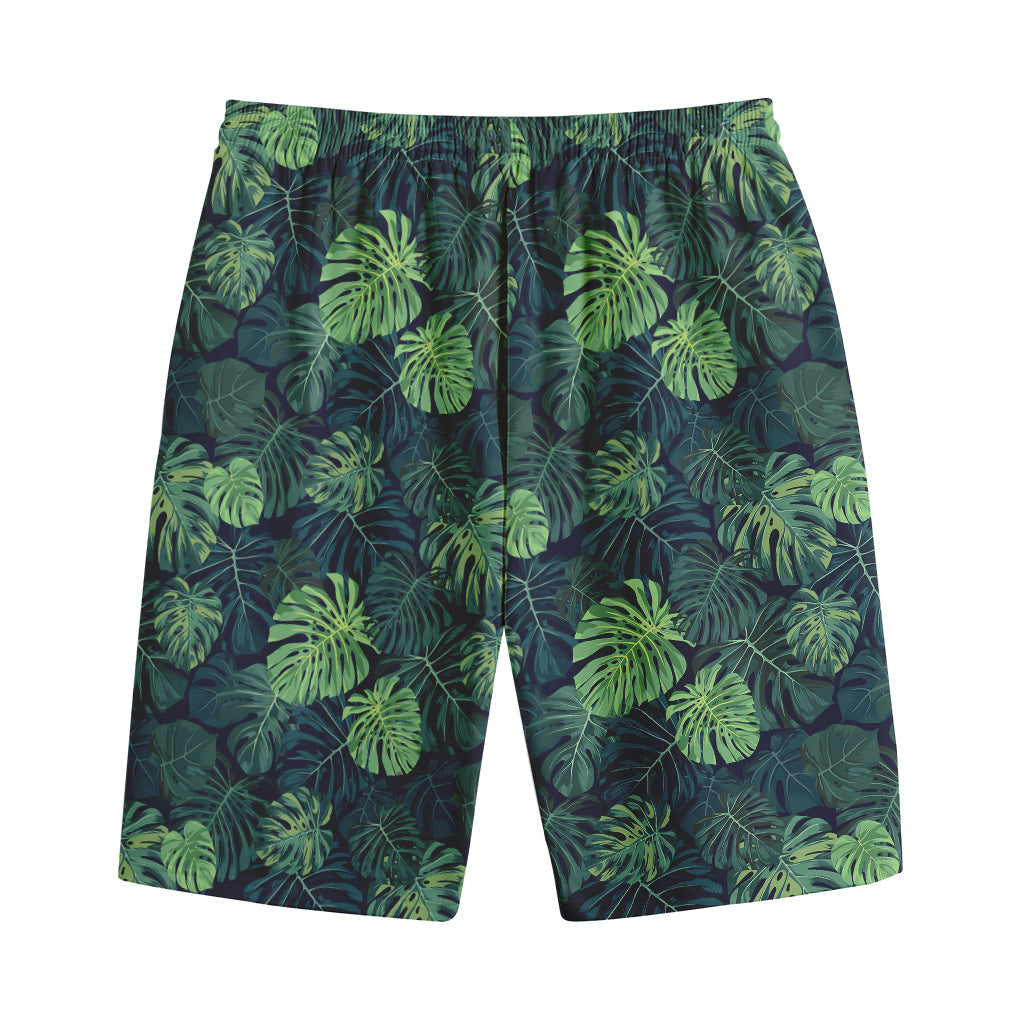 Monstera Palm Leaves Pattern Print Cotton Shorts