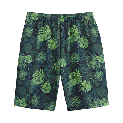 Monstera Palm Leaves Pattern Print Cotton Shorts