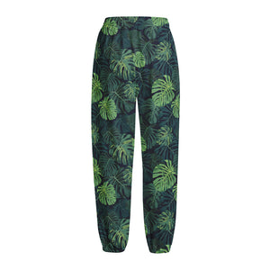 Monstera Palm Leaves Pattern Print Fleece Lined Knit Pants