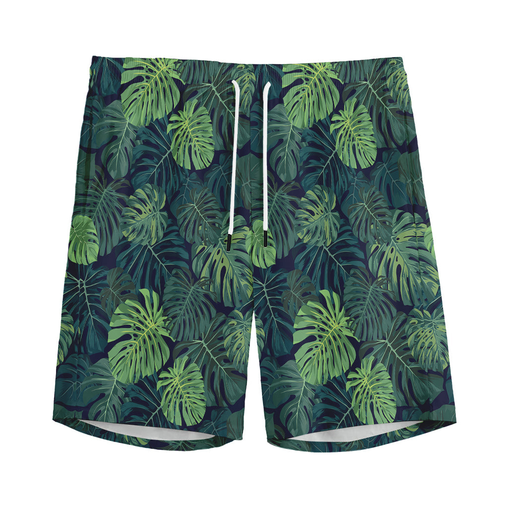 Monstera Palm Leaves Pattern Print Men's Sports Shorts