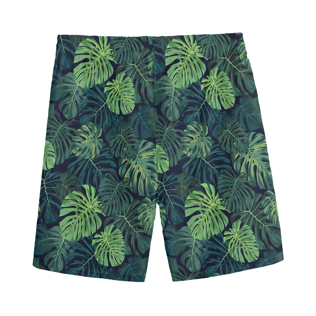 Monstera Palm Leaves Pattern Print Men's Sports Shorts