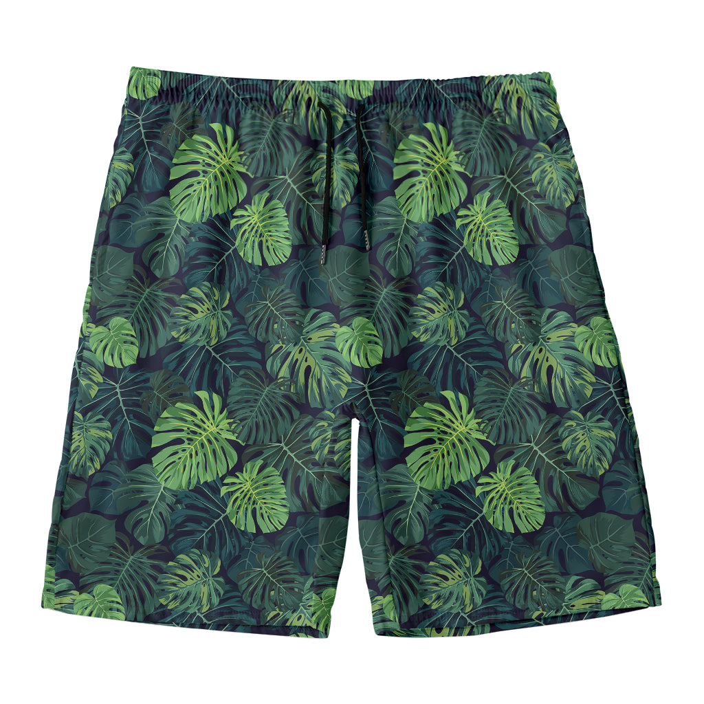 Monstera Palm Leaves Pattern Print Men's Swim Trunks