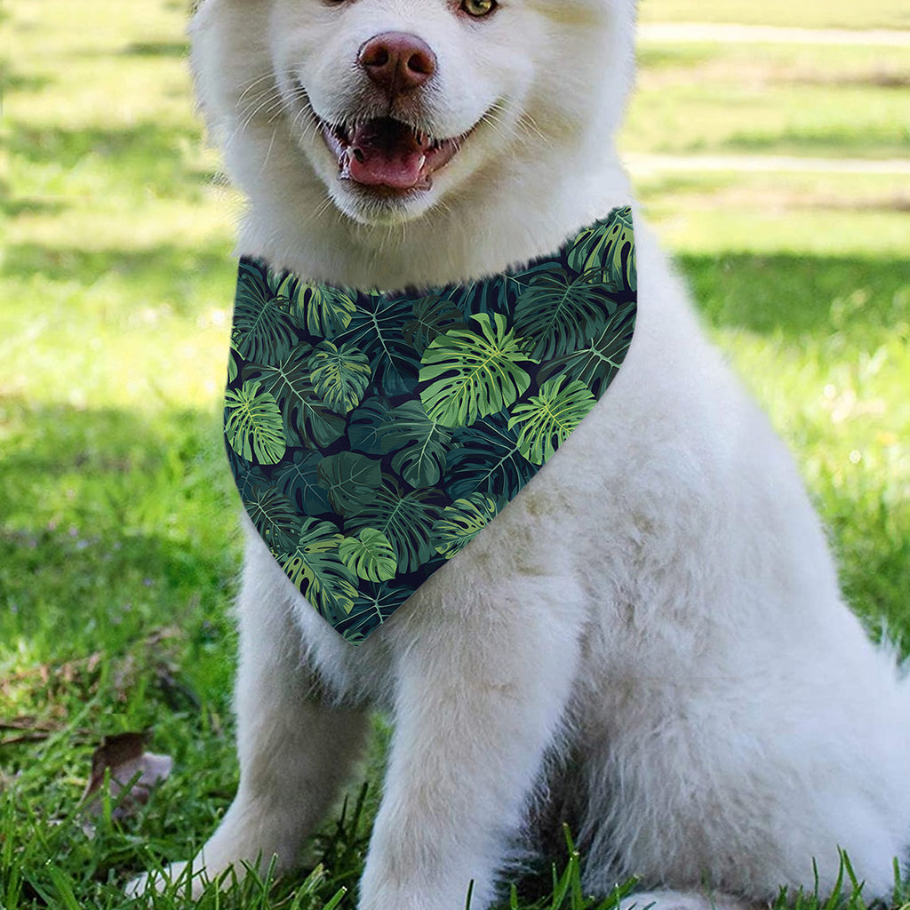 Monstera Palm Leaves Pattern Print Over The Collar Dog Bandana