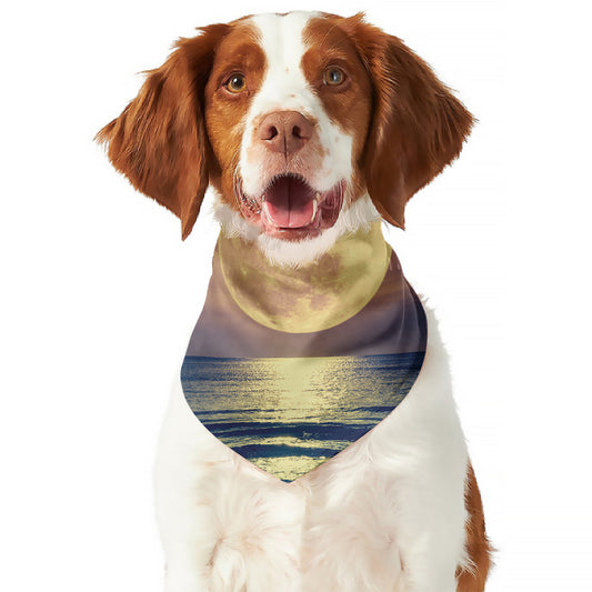 Moon Beach Print Dog Bandana