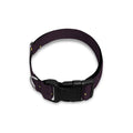 Moon Phase And Stars Pattern Print Dog Collar