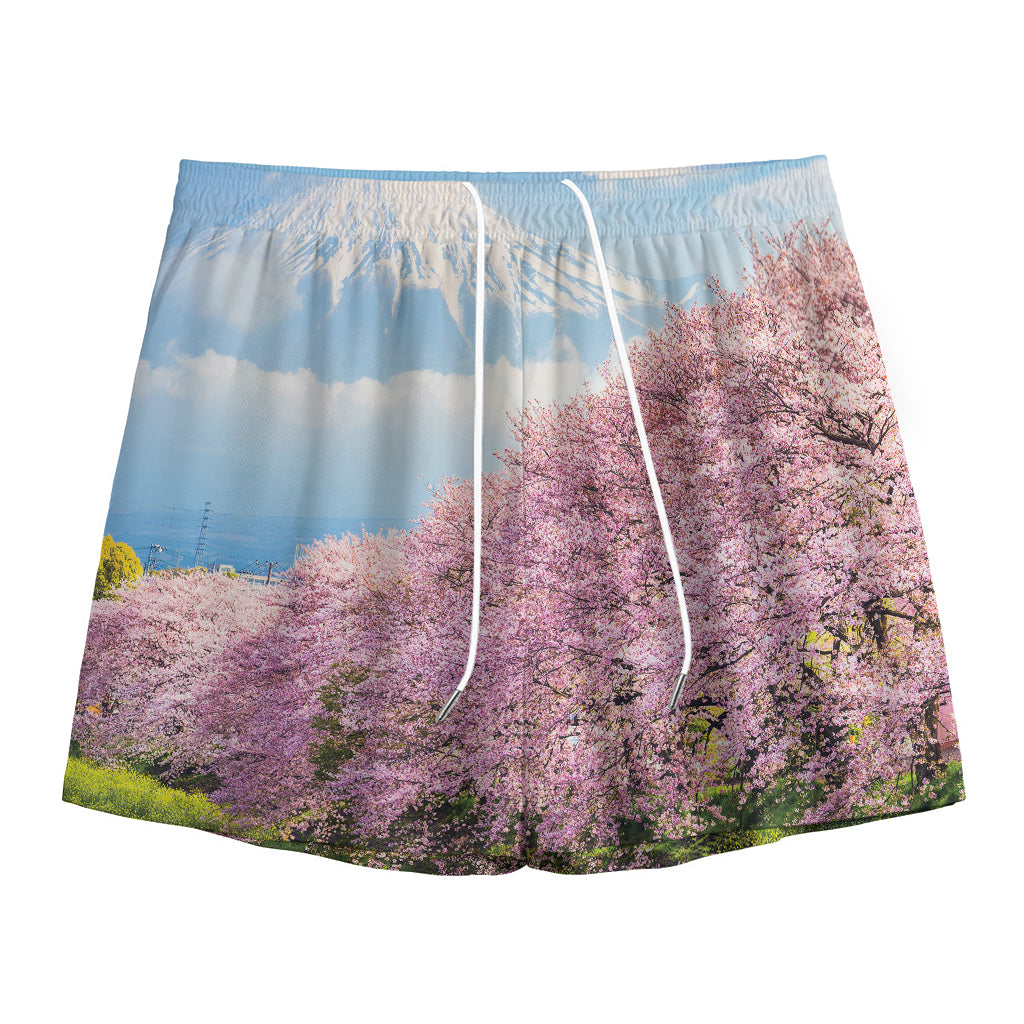 Mount Fuji And Cherry Blossom Print Mesh Shorts