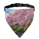Mount Fuji And Cherry Blossom Print Over The Collar Dog Bandana